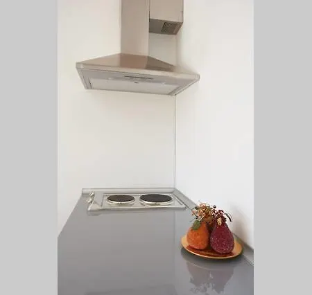 Apartament Industrial Loft *