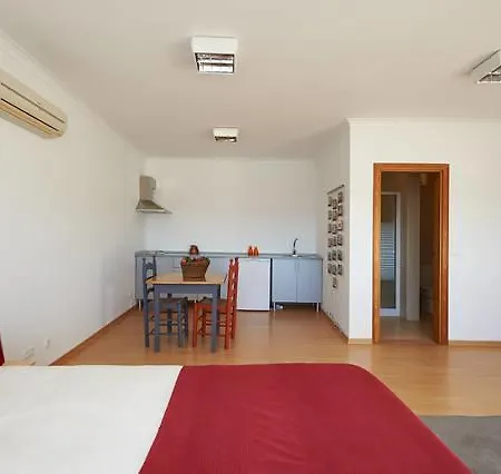 Apartment Industrial Loft Terrugem