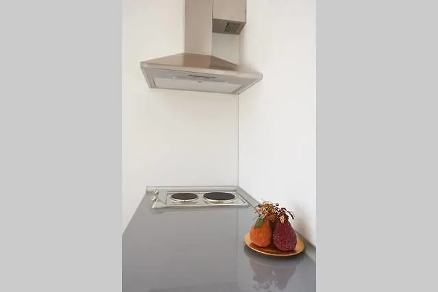 Apartament Industrial Loft *